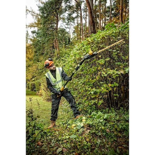 Person uses DEWALT pole hedge trimmer DCMPH566N outdoors, trimming tall bushes in a forested area.