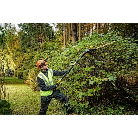 Person using DEWALT pole hedge trimmer outdoors, trimming tall green bushes while wearing safety gear.