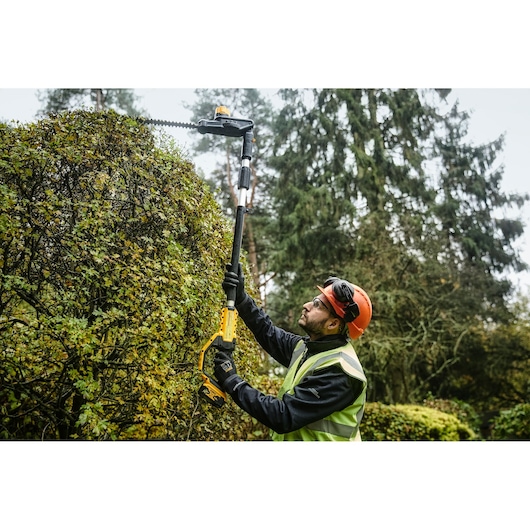 Worker uses DEWALT DCMPH566N cordless pole hedge trimmer on tall hedge outdoors, wearing safety gear.