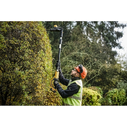 Person trims tall hedge using a DEWALT pole hedge trimmer outdoors, wearing safety gear and vest.
