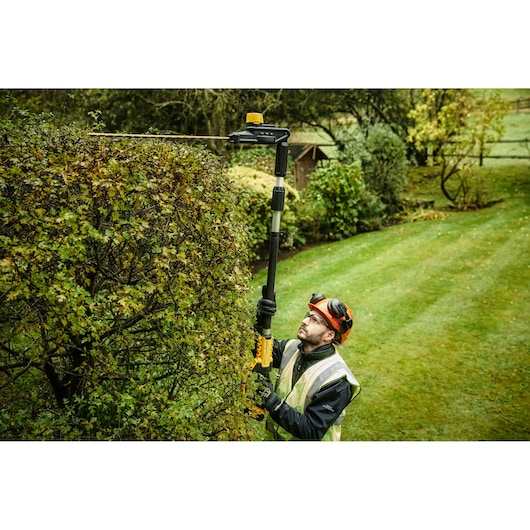 Person trims tall hedge with DEWALT pole hedge trimmer outdoors in garden.