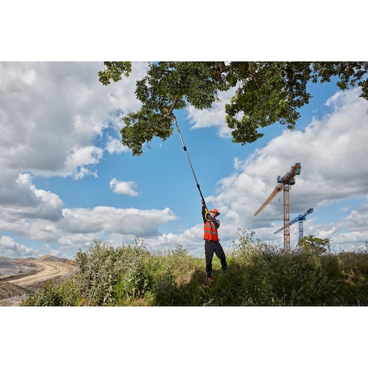 Person trims tree branches with a DEWALT pole saw outdoors, wearing safety gear, cranes in the background.