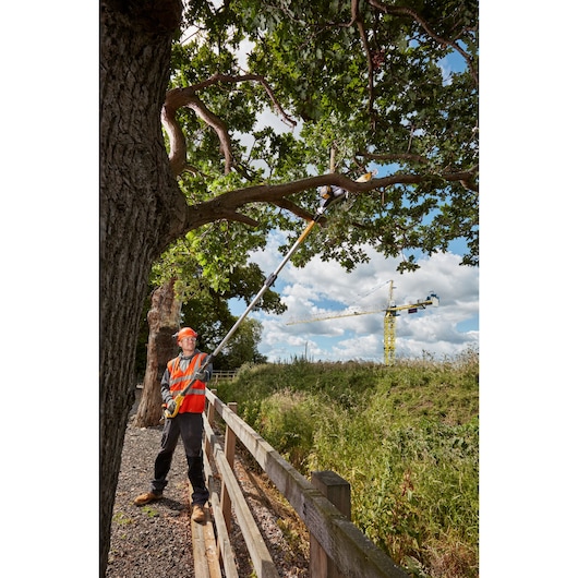 Worker uses DEWALT pole saw to trim tree branch outdoors, wearing safety gear and high-visibility vest.