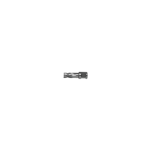 A DEWALT metal drill bit with a short spiral fluted body and a hex shank, shown against a white background.